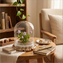 Load image into Gallery viewer, Persian violet zero-care terrarium displayed on a wooden side table in a cozy living room

