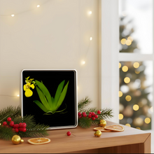 Load image into Gallery viewer, Bloomify Live Orchid Picture, Maintenance Free Orchid, Psygmorchis Pusilla, Live Green Wall Décor, Blooming, No Green Thumb Necessary, Great for Work, Home, Wall Décor, Unique Gift.
