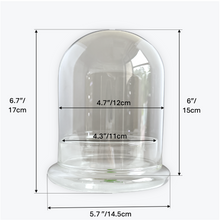 Load image into Gallery viewer, Bloomify Glass Dome – 5.7 x 5.7 x 6.7 Inches – Premium Anti-Fog Glass Cloche Bell Jar with Base – Perfect for Home Decor, Tabletop Display, and Terrarium – Stunning Decoration (No Plants) - Orchid Gene
