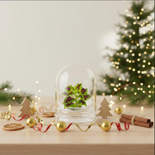 Load image into Gallery viewer, Coleus (Inky fingers), Floral Terrarium, Great Ornamental Live Plant
