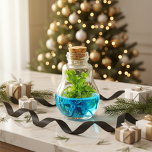 Load image into Gallery viewer, Venus Flytrap Terrarium, Signature Product, Amazon&#39;s Choice, Walmart Best Sellers #1 in 2022
