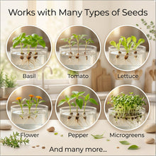 Load image into Gallery viewer, Terra Gel Seed Germination Kit – Easy-to-Use Soil-Free Propagation Station in Resealable Bag, Germinate Multiple Seeds at Once
