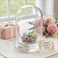 Load image into Gallery viewer, Bloomify Live Pinguicula cyclosecta (Violet-Rosette Mexican Butterwort) in Glass Dome – Zero-Care Carnivorous Plant Terrarium, Enchanting Miniature for Plant Enthusiasts
