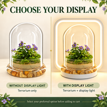 Load image into Gallery viewer, Large mixed-plant terrarium shown with and without the optional illuminated display light

