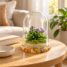 Load image into Gallery viewer, Large Persian violet, sundew moss, and coleus zero-care terrarium displayed on a wooden table in a bright living room
