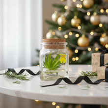 Load image into Gallery viewer, Live Miniature Orchid Terrarium, Psygmorchis Pusilla, Signature Product
