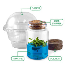 Load image into Gallery viewer, Venus Flytrap Terrarium DIY Kit , Live VFT Terrarium, Perfect Gift for All Ages, Educational Growing Plant, Exotic US Native Plant
